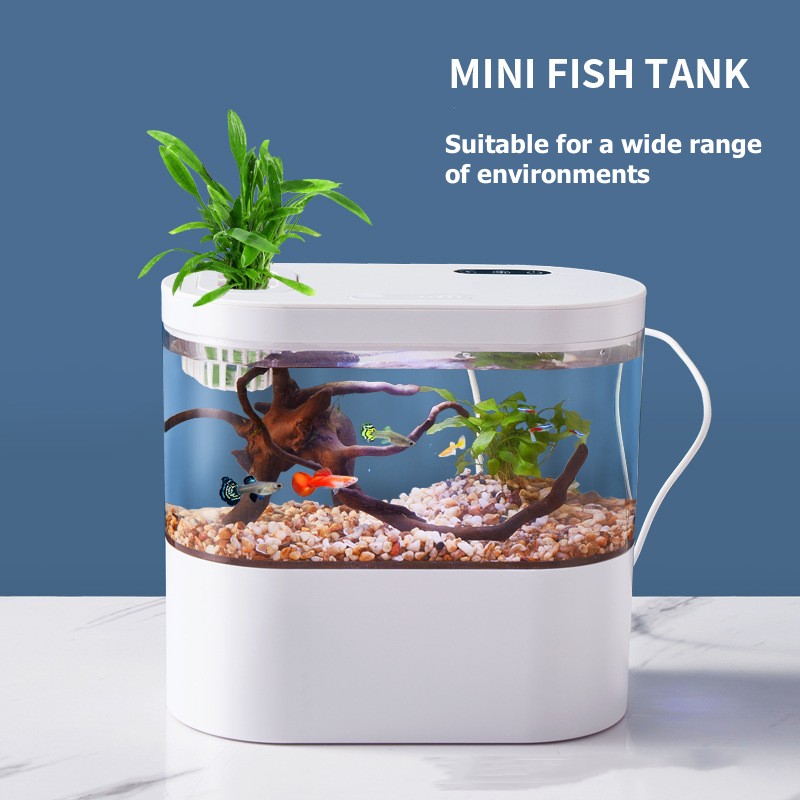 Live Fish Aquarium - Mini Acquario da Tavolo con Sistema