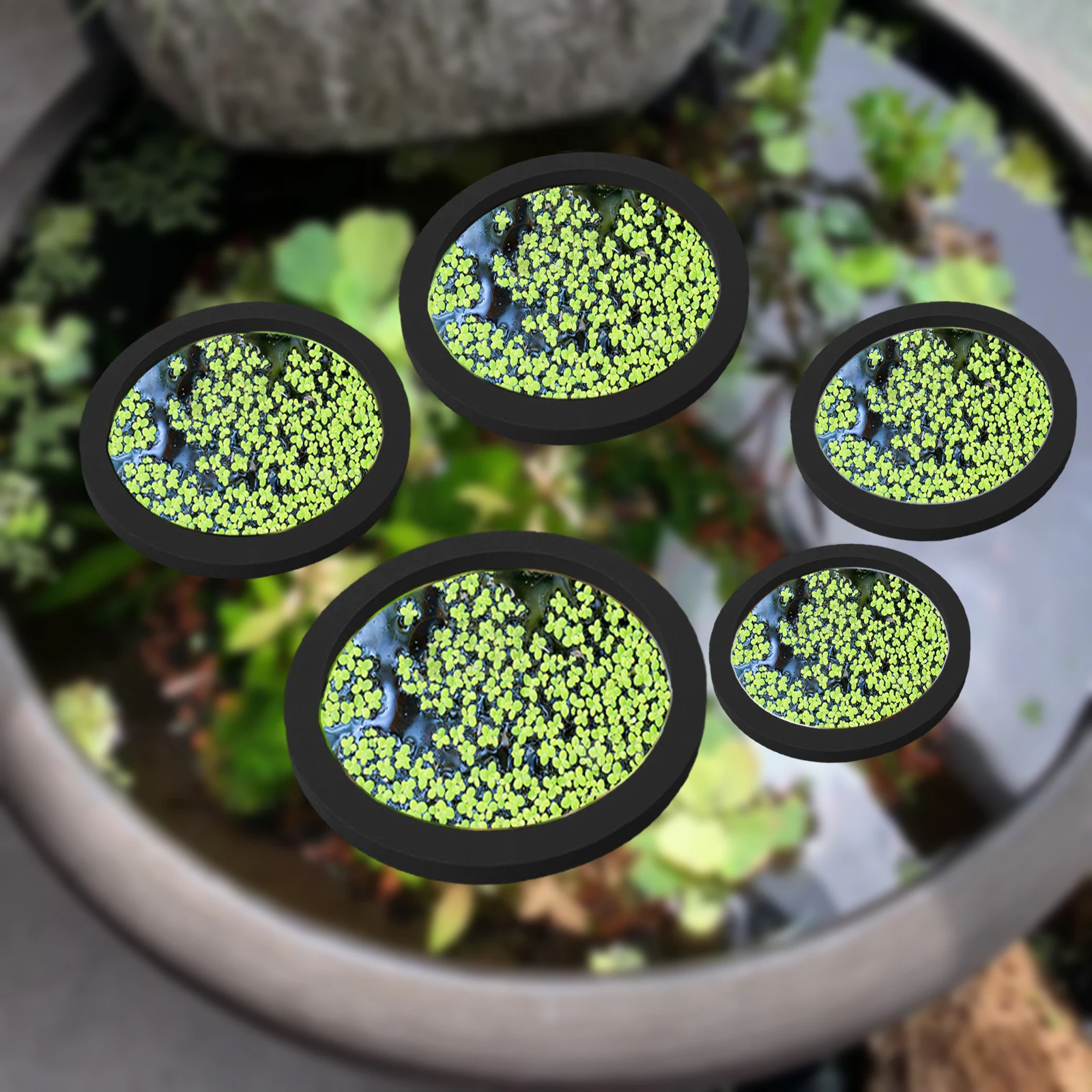 Aquarium Fish Gallery - 5 pz EVA Anello di Alimentazione