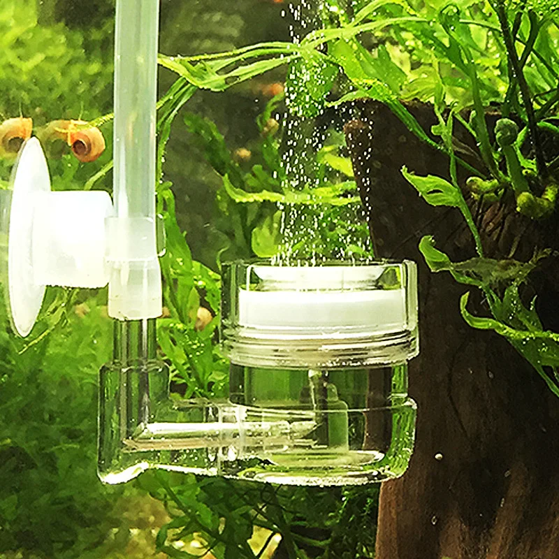 Co2 Diffuser Planted - Acquario 4 in 1 Diffusore di