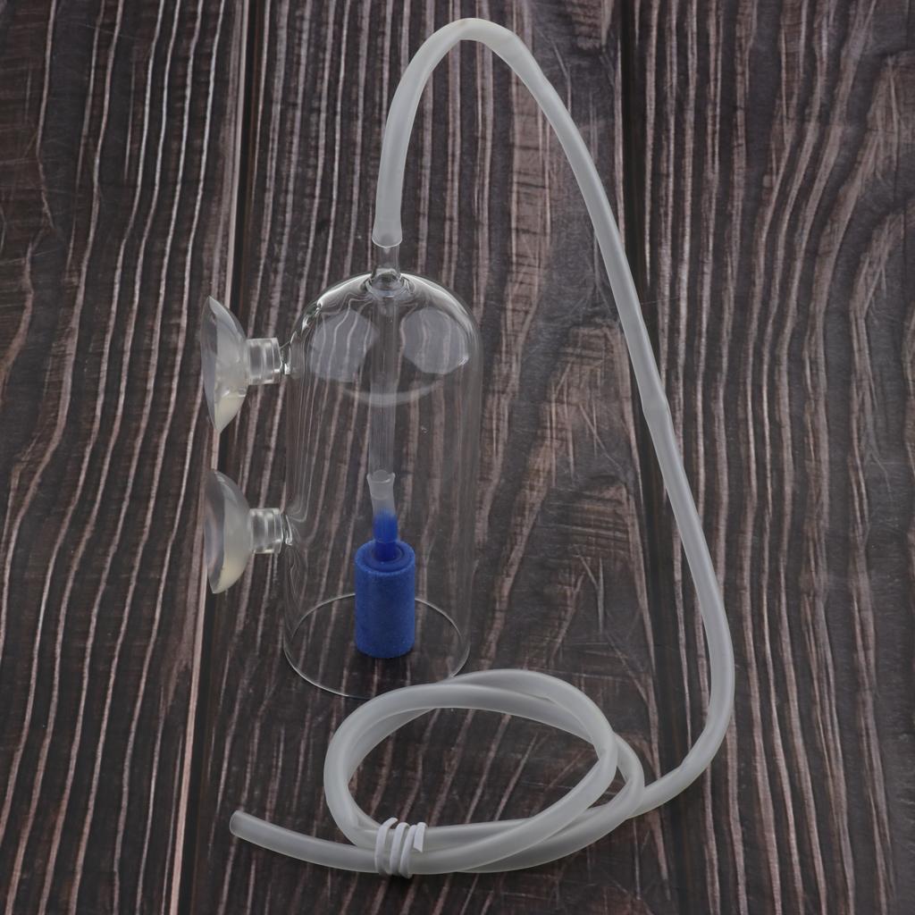 Co2 Diffuser Planted - Sistema diffusore di CO2 per acquario