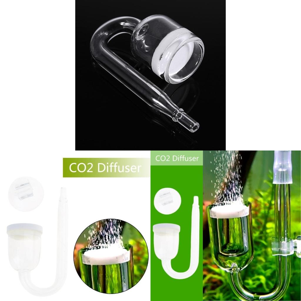 Co2 Diffuser Planted - Atomizzatore in vetro trasparente con diffusore