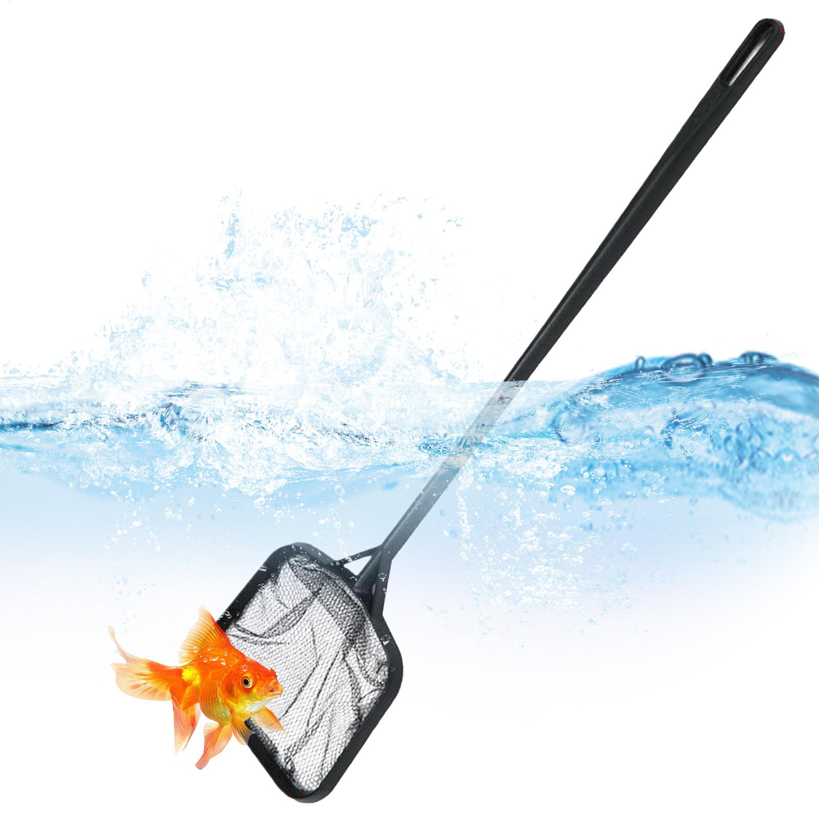 Reti per la Pulizia della Pisc - Aquarium Fish To Buy recensione e prezzo