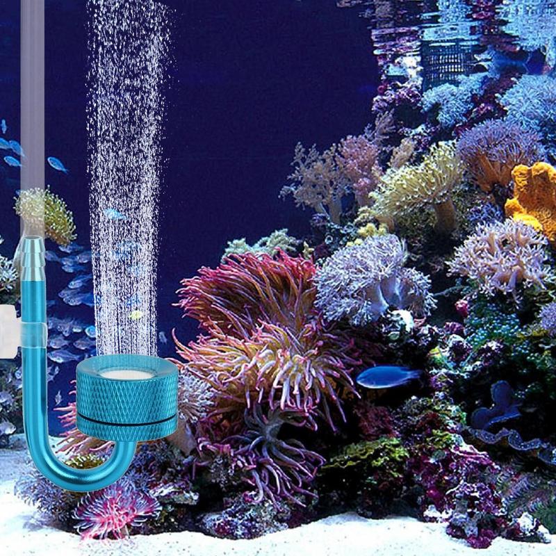 Atomizzatore di CO2 in allumin - Co2 Diffuser Planted recensione e prezzo