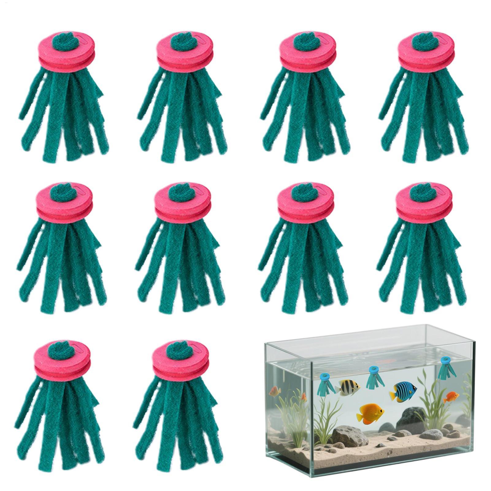 10 Pezzi Mop Decorativo per Ri - Aquarium Fish Eggs recensione e prezzo