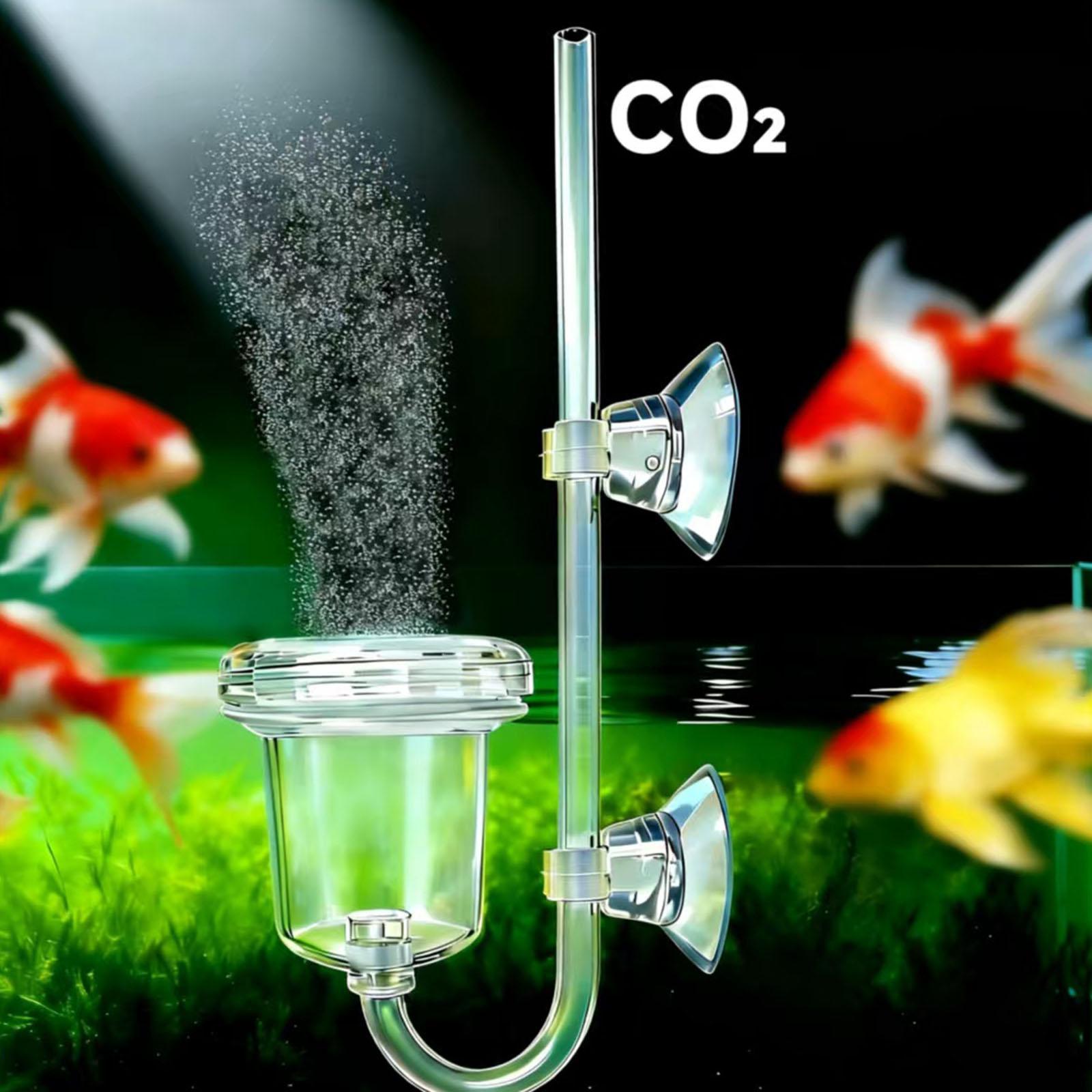 Diffusore di CO2 trasparente c - Co2 Diffuser Planted recensione e prezzo