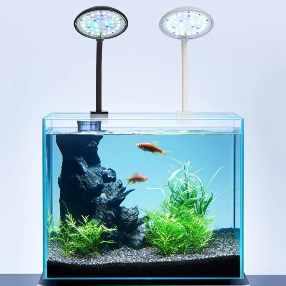 Lampada a Clip per Acquario Mi - Live Fish Aquarium recensione e prezzo