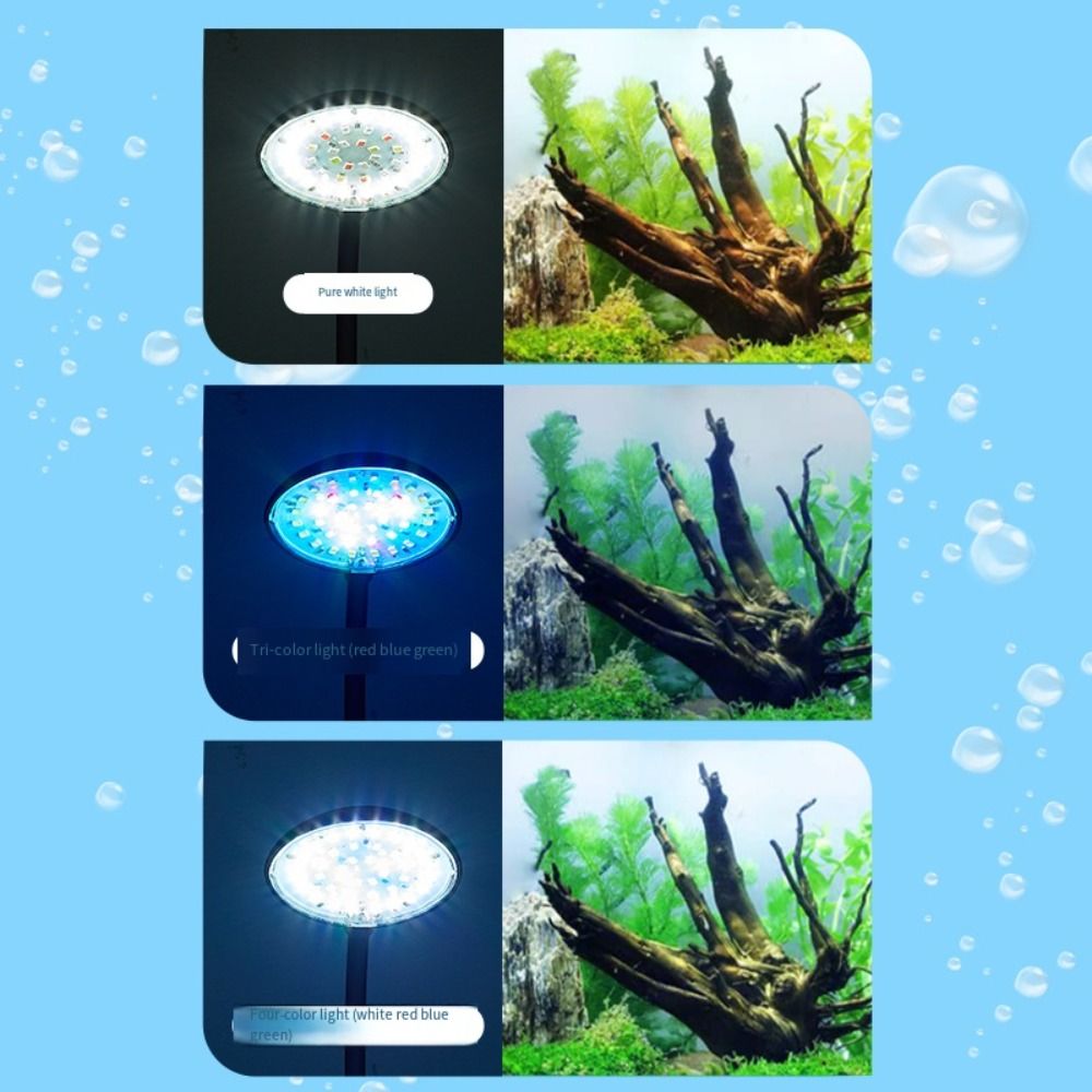 Lampada a Clip per Acquario Mi - Live Fish Aquarium recensione e prezzo