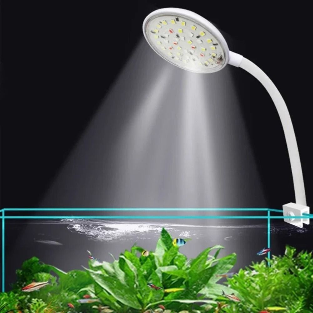 Lampada a Clip per Acquario Mi - Live Fish Aquarium recensione e prezzo