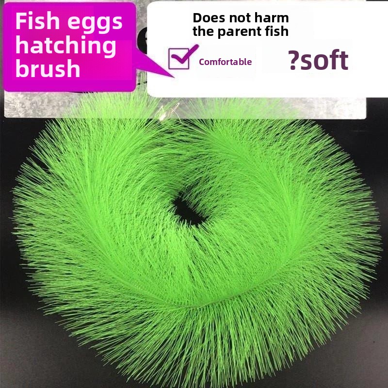 Erba per l'Allevamento di Pesc - Aquarium Fish Eggs recensione e prezzo