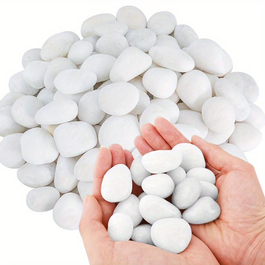 200/400g Bianco Alto Lucido Ci - Aquarium Fish To Buy recensione e prezzo