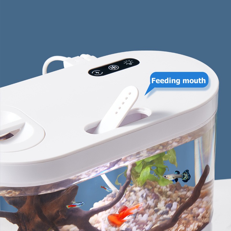 Mini Acquario da Tavolo con Si - Live Fish Aquarium recensione e prezzo