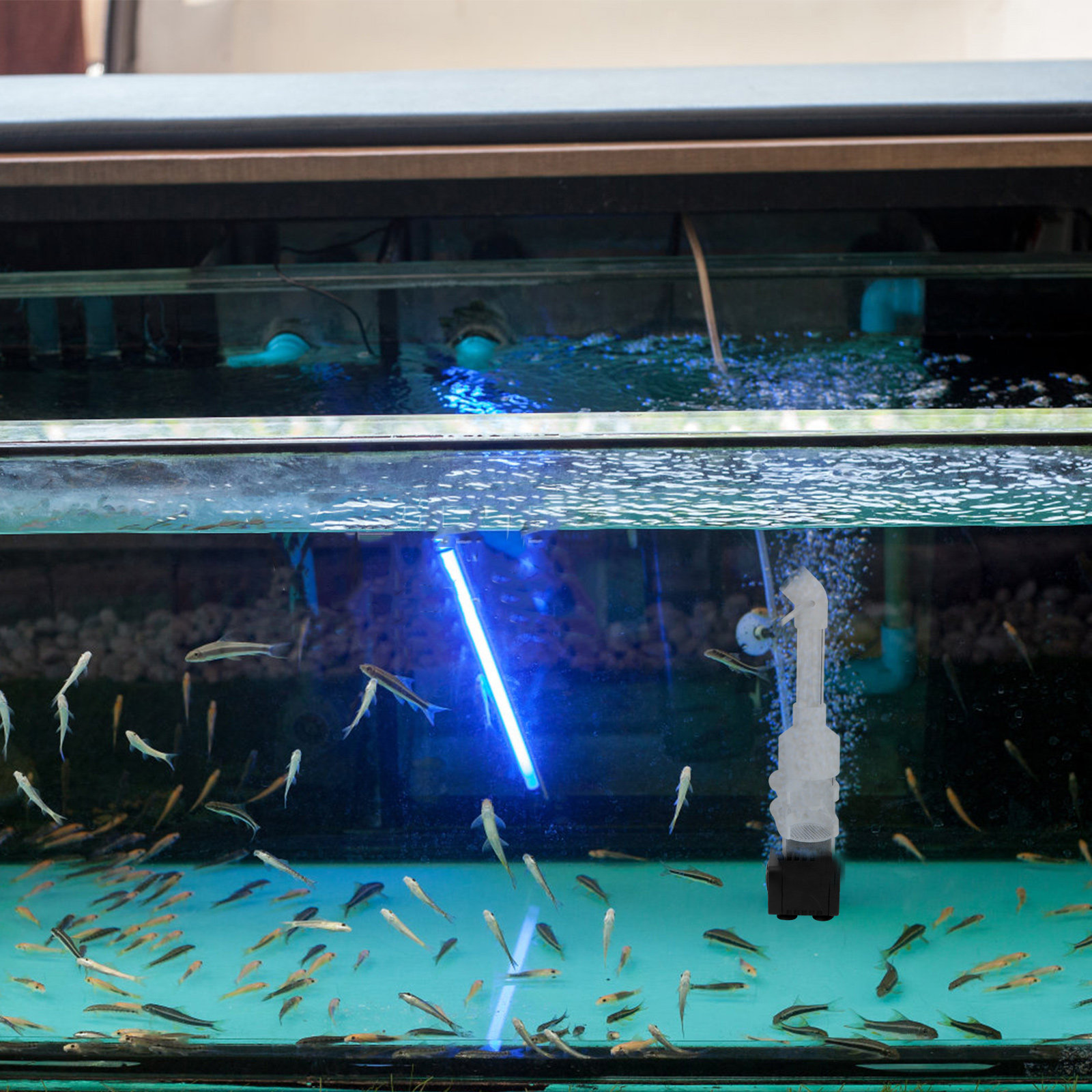 2 Pezzi Incubatore per Pesci,  - Aquarium Fish Eggs recensione e prezzo