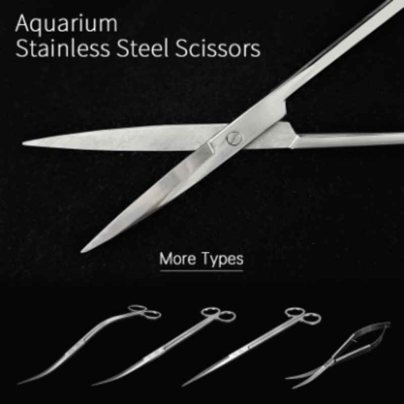 Forbici per Piante Acquatiche  - Aquarium Fish To Buy recensione e prezzo
