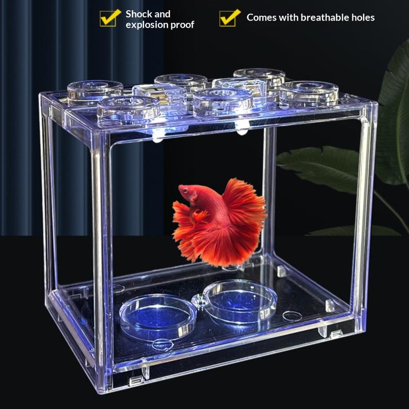 (BF06) Mini Acquario in Acrili - Live Fish Aquarium recensione e prezzo