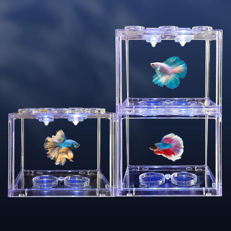 (BF06) Mini Acquario in Acrili - Live Fish Aquarium recensione e prezzo
