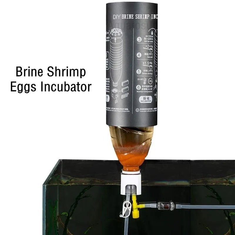 Kit Incubatore per Uova di Art - Aquarium Fish Eggs recensione e prezzo