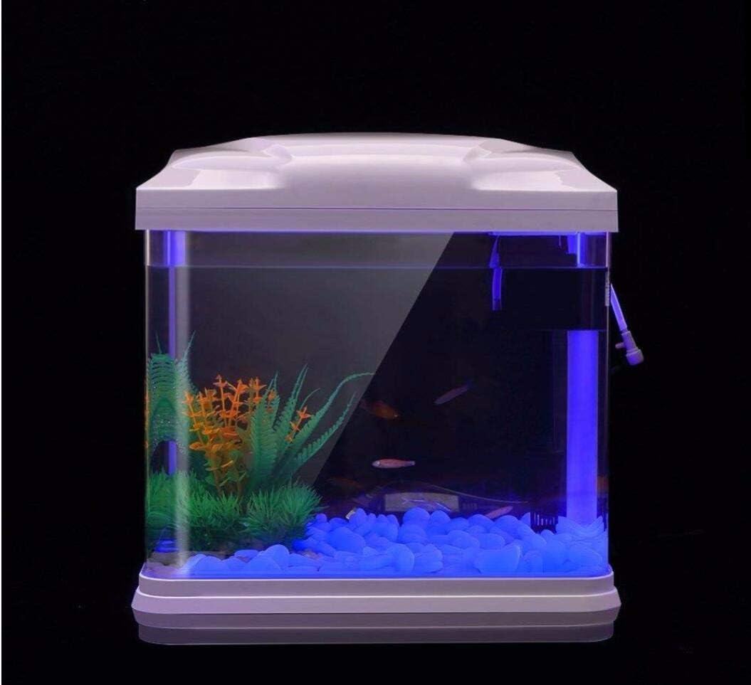 Rocce per acquari che si illum - Aquarium Fish To Buy recensione e prezzo