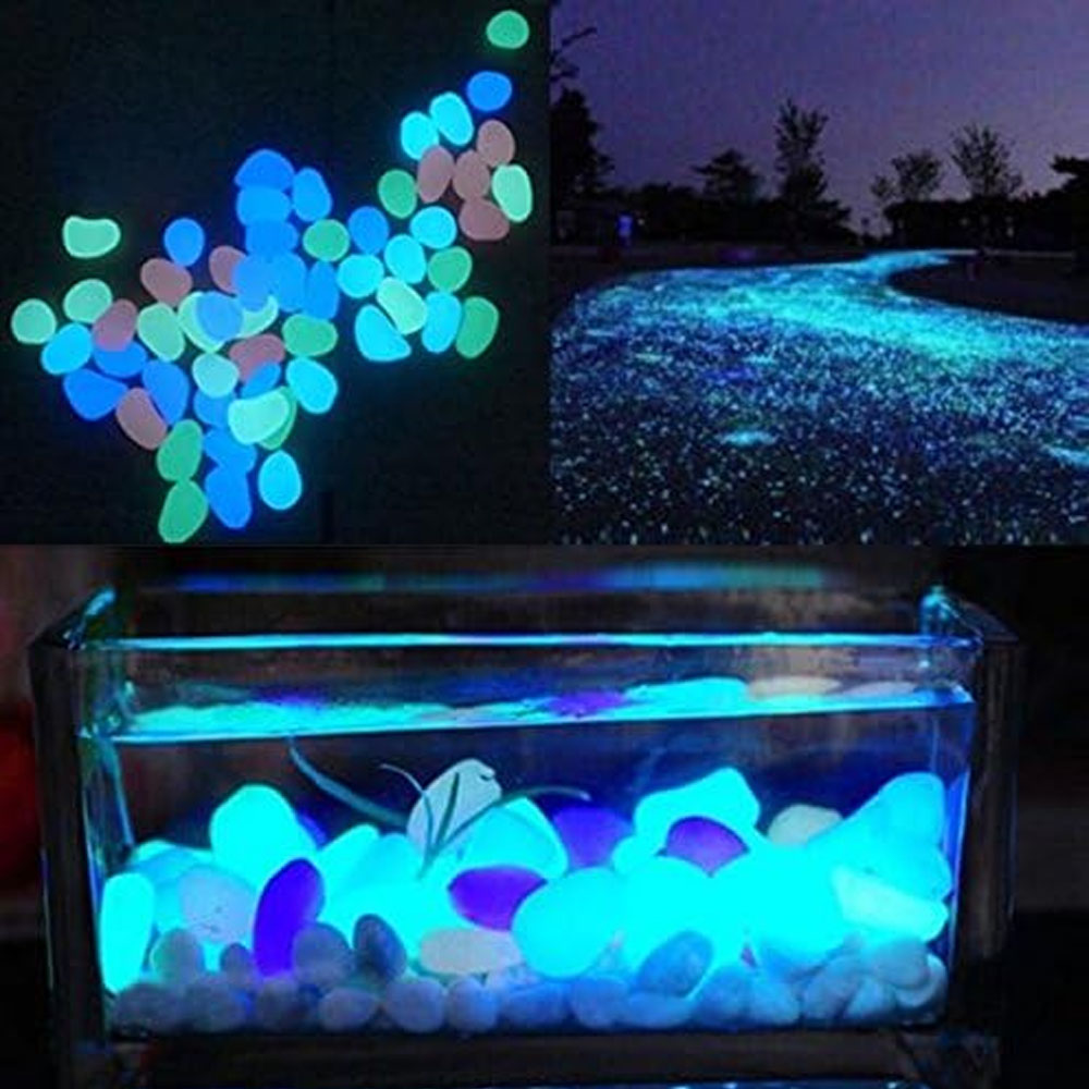 Rocce per acquari che si illum - Aquarium Fish To Buy recensione e prezzo