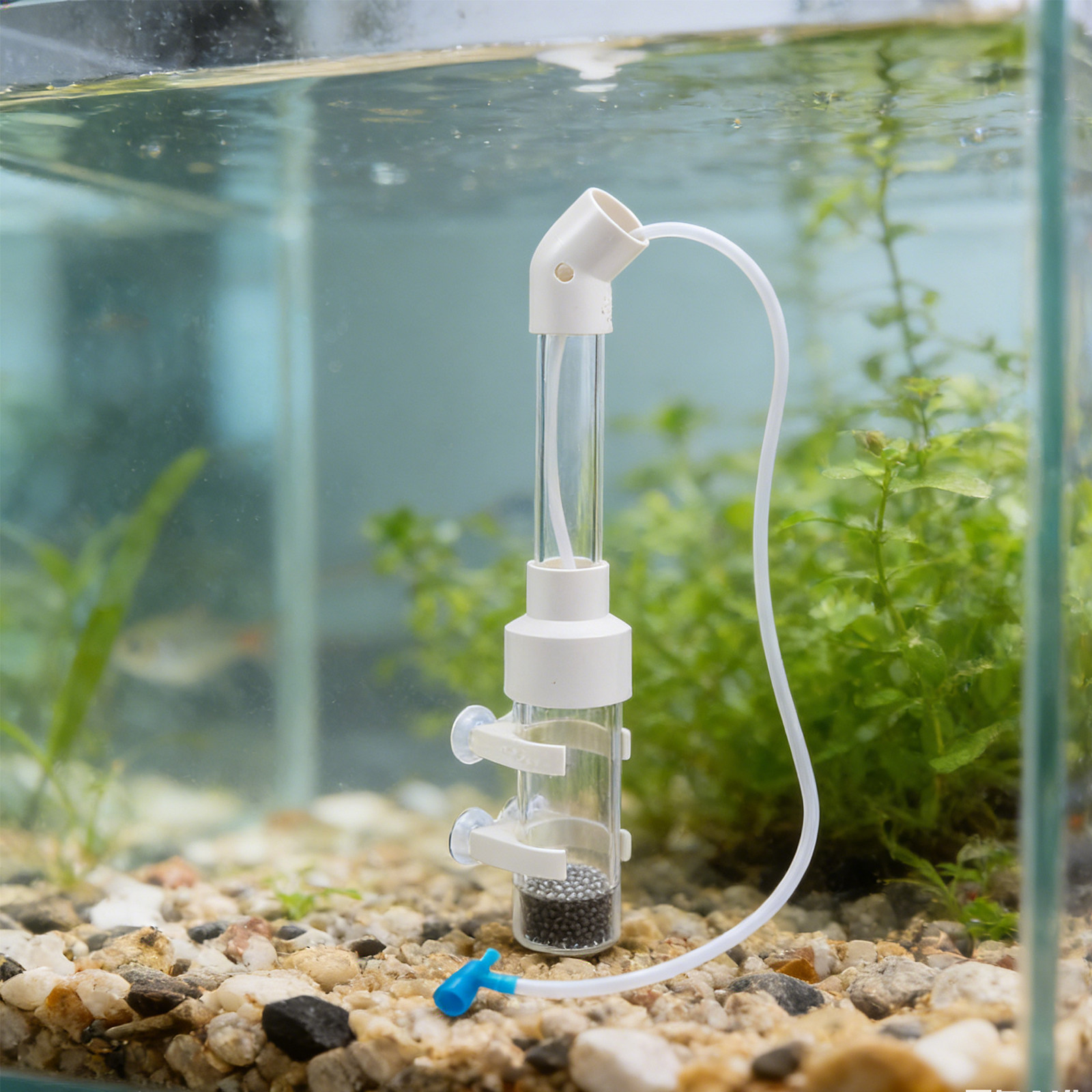 2 Set di Incubatori per Uova d - Aquarium Fish Eggs recensione e prezzo