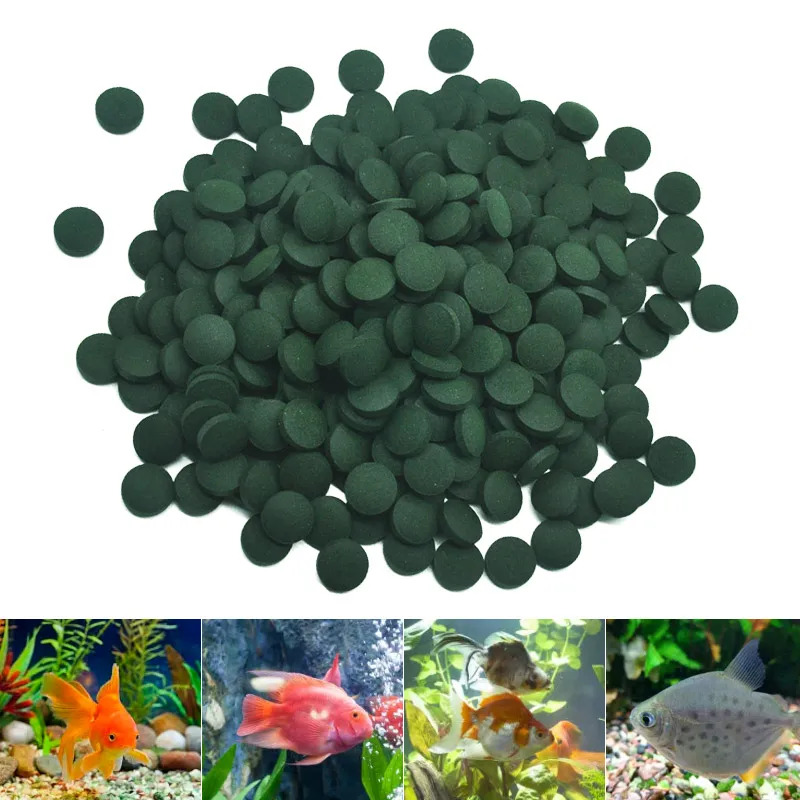50-300 pz compresse di spiruli - Aquarium Fish Eggs recensione e prezzo