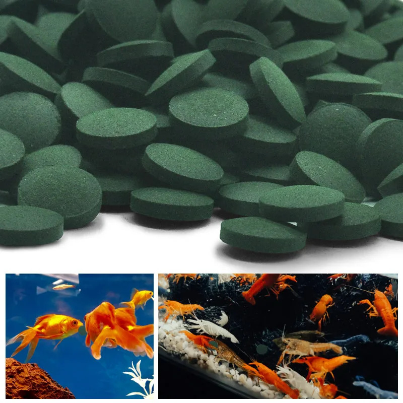 50-300 pz compresse di spiruli - Aquarium Fish Eggs recensione e prezzo