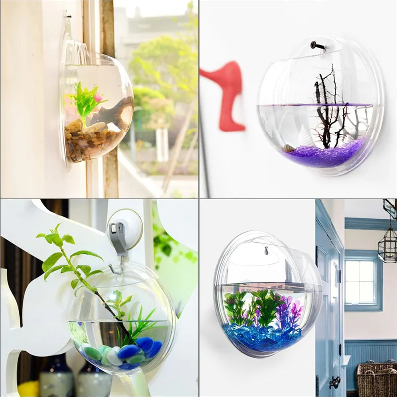 Trasparente acrilico appeso a  - Live Fish Aquarium recensione e prezzo