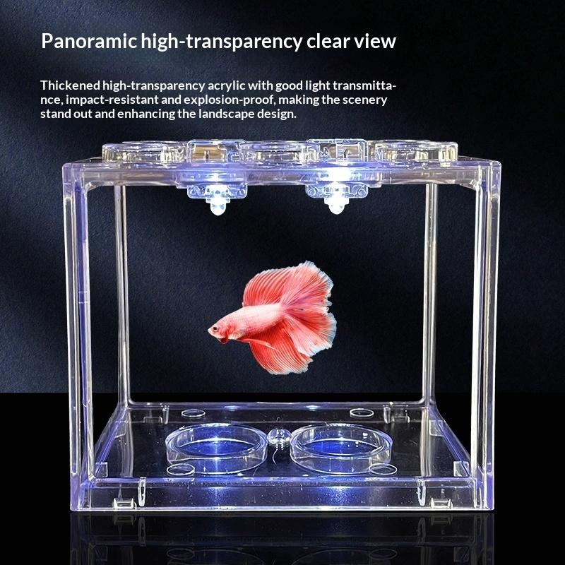 Mini Acquario in Acrilico Impi - Live Fish Aquarium recensione e prezzo