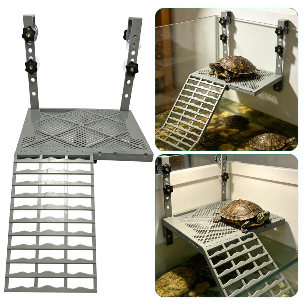 Decorazione per Acquario, Piat - Aquarium Fish Gallery recensione e prezzo
