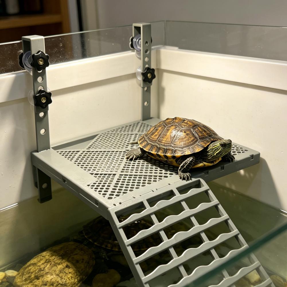 Decorazione per Acquario, Piat - Aquarium Fish Gallery recensione e prezzo