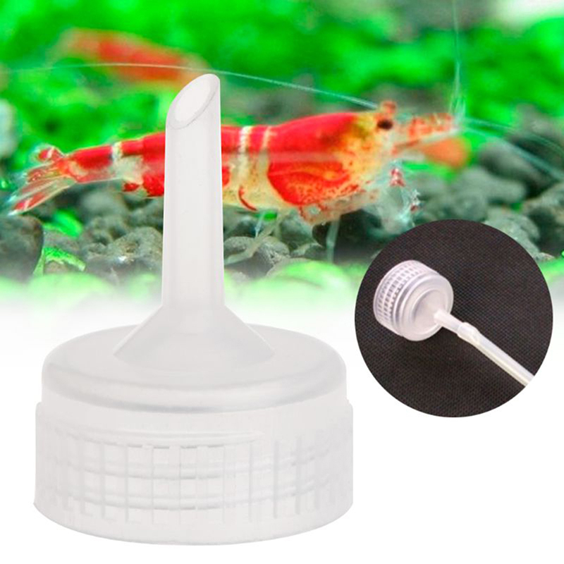 10 Pz Acquario Salamoia Gamber - Aquarium Fish Eggs recensione e prezzo